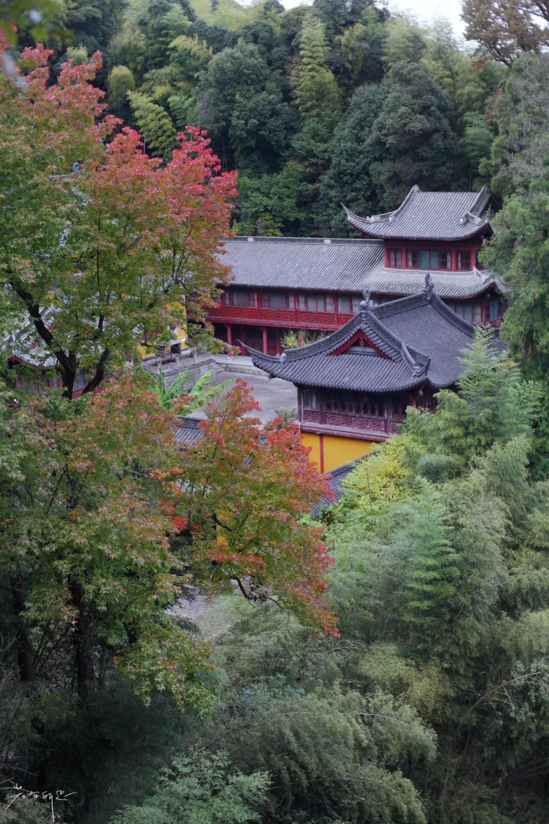 没有人来人往的城市,没有人山人海的地方