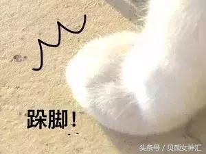 如何买到靠谱的精油,精油多少钱才是真货