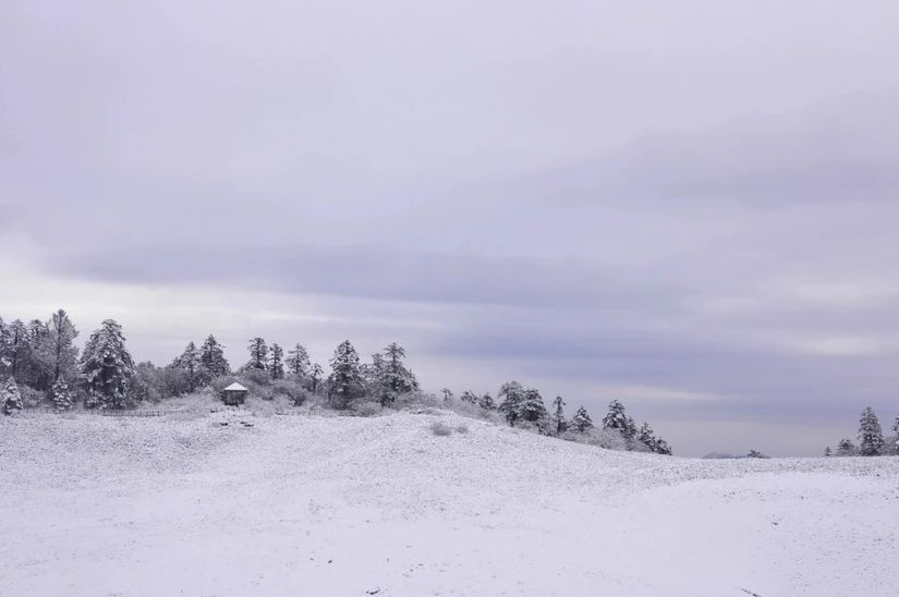 百慕大黑竹沟未解之谜,黑竹沟百慕大三角探险
