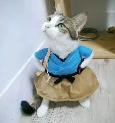 儿童小故事——小小捣蛋鬼