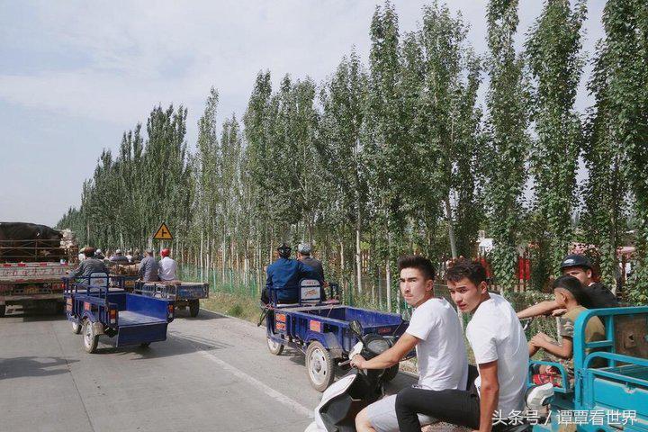 令人大开眼界的车,喀什牛羊大巴扎有意思吗