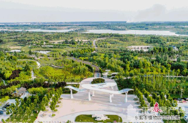 植物园旁安家,东营海通花语城和桂园房价