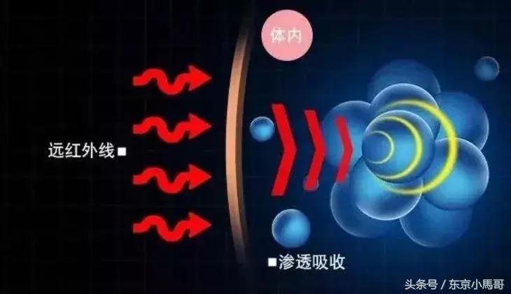 澳洲ypl瘦腿裤最大能穿到多少斤 (澳洲ypl瘦腿裤根本就是假的)