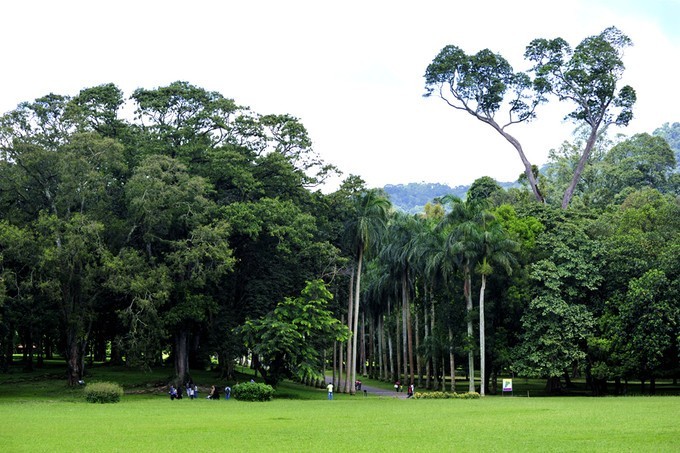 人文摄影斯里兰卡,锡兰风景