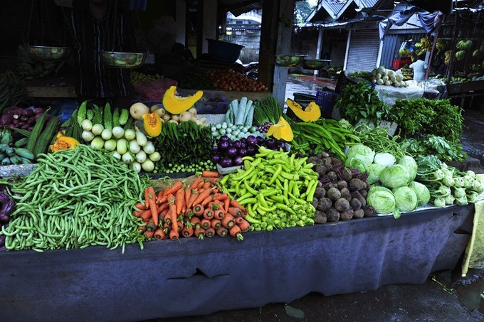 人文摄影斯里兰卡,锡兰风景