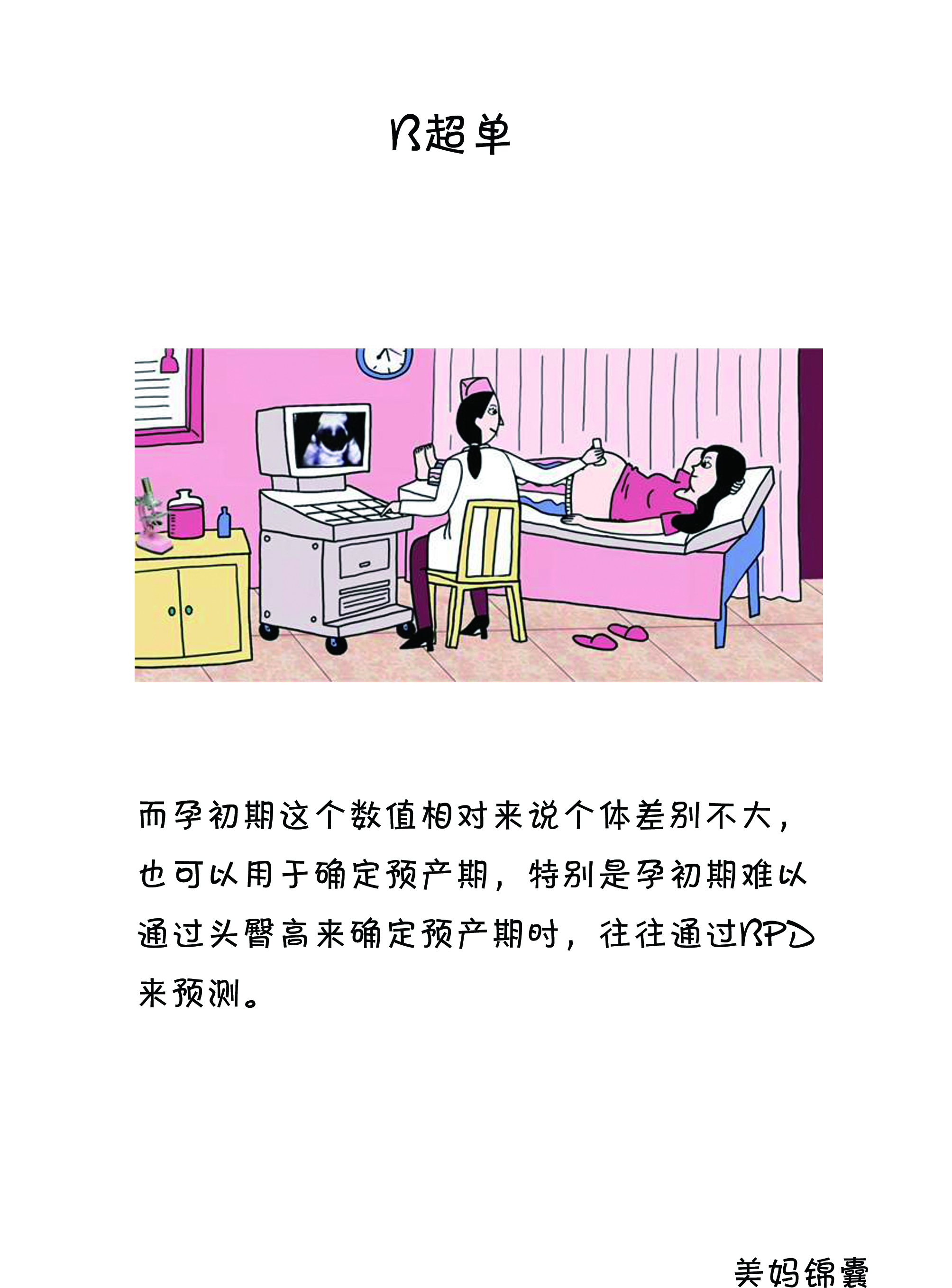 如何看b超单双肾图像,如何看b超单图像是圆形还是长形