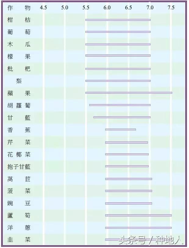 自来水浇花土壤板结怎么办,造成土壤板结的原因有哪些