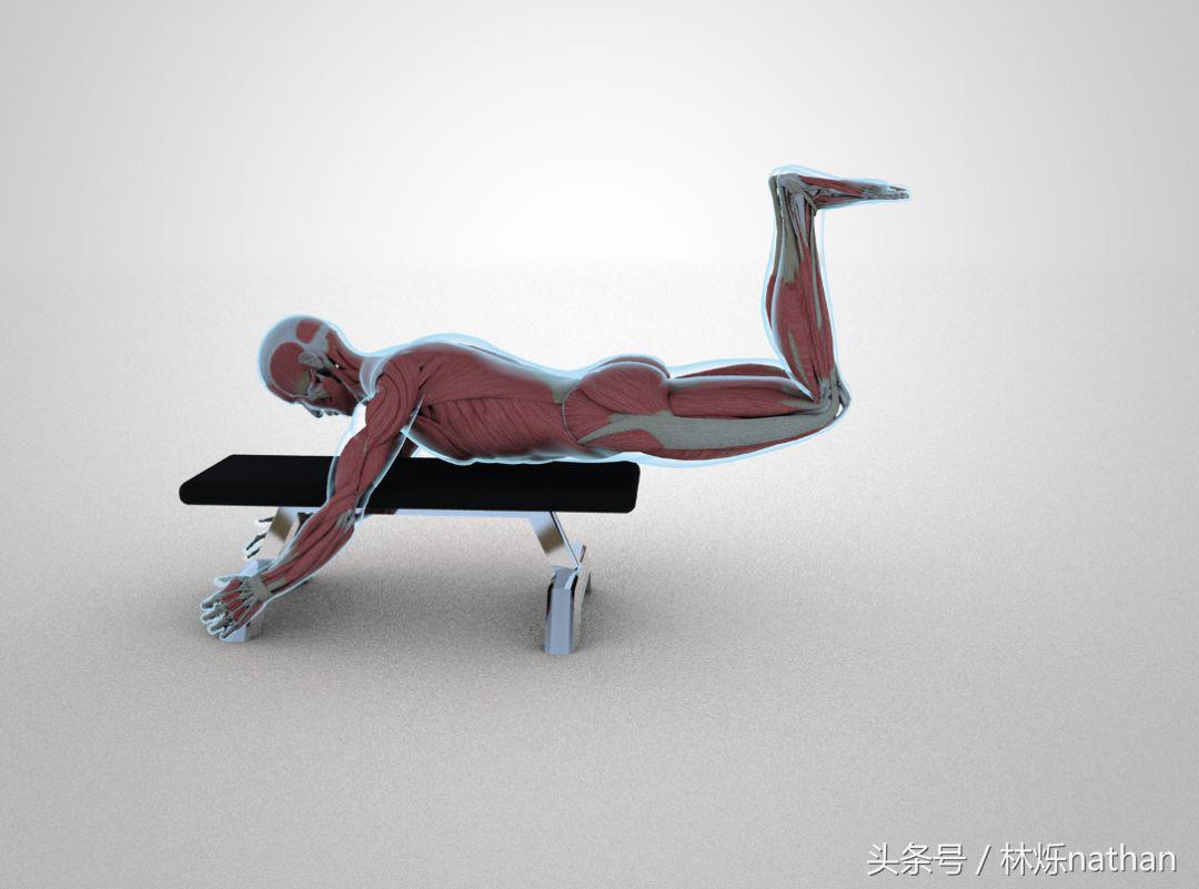 臀部训练需要掌握的细节,马华健美5分钟臀部训练