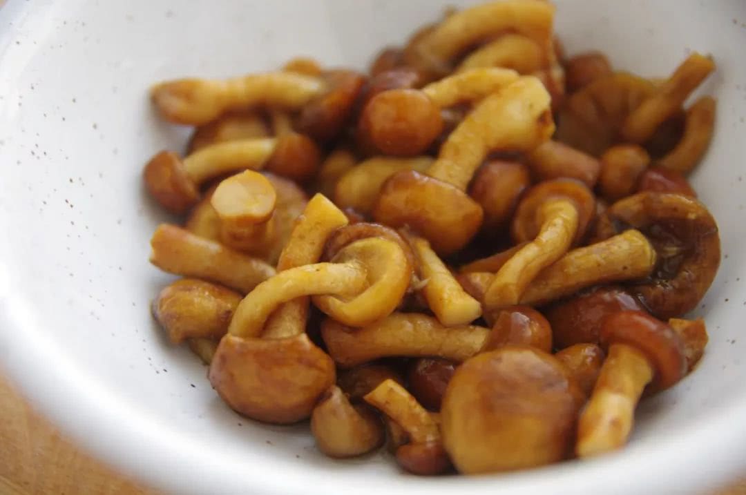 吃起来黏黏滑滑的黑色蘑菇,黏黏的大白蘑菇