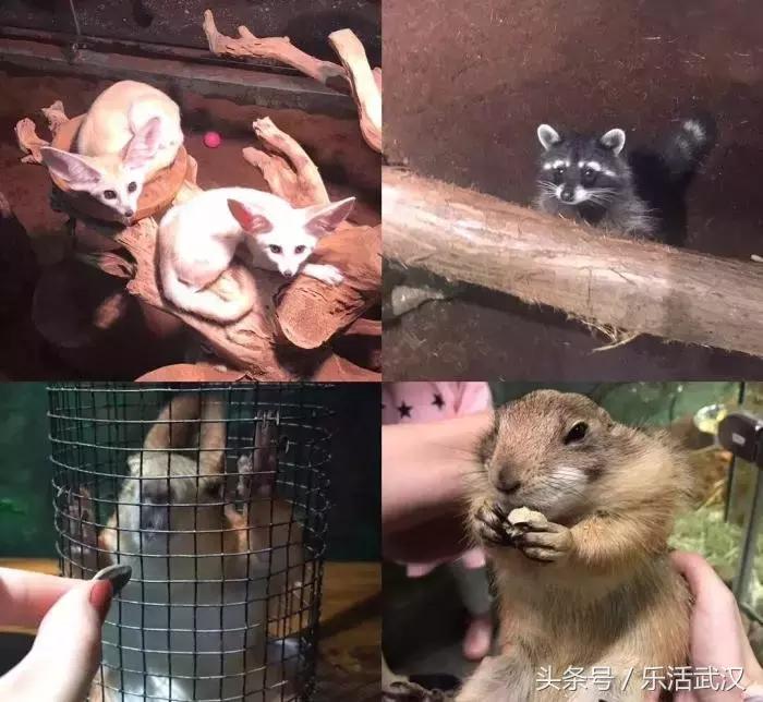 赛车场卡丁车武汉,赛车卡丁车武汉