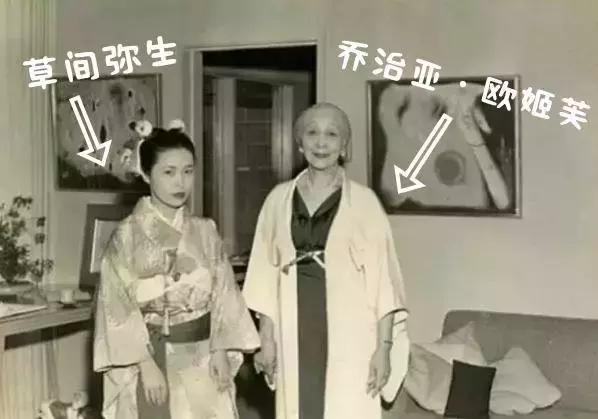 一口气读懂草间弥生丨准备好了吗，一大波圆点即将来袭！