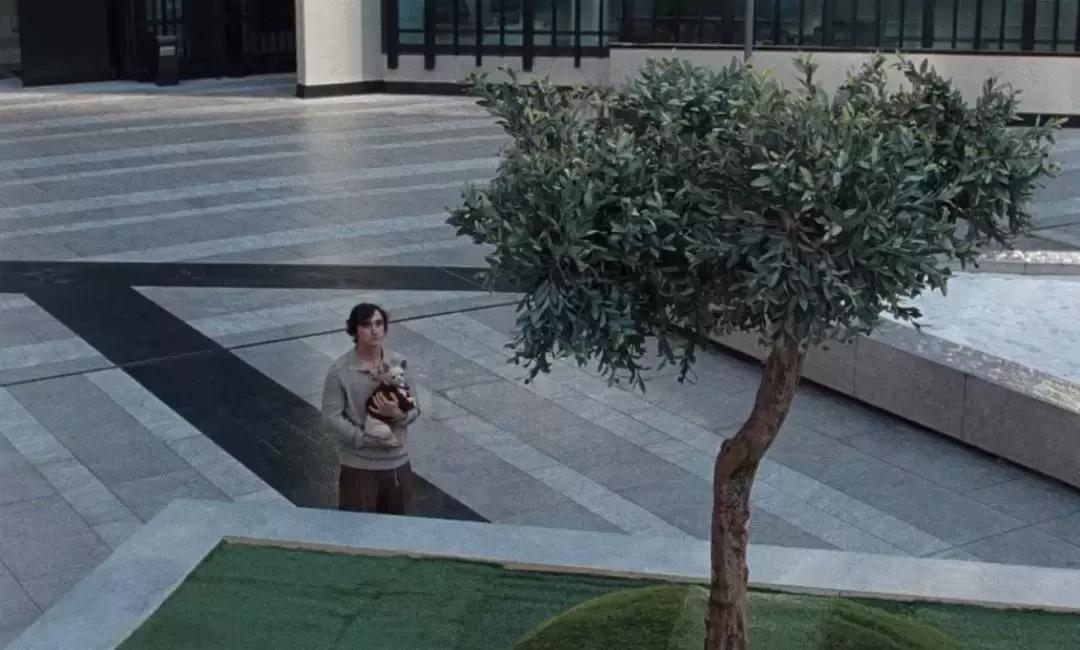 让我帮你把眼泪擦干吧,帮你把眼泪擦干