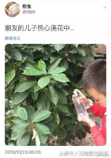 “朋友的热心儿子”刷屏！网友笑出泪花：有种熊孩子叫化妆品杀手
