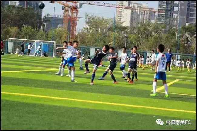 激战！周末赛事启德南美小雄狮以球会友！