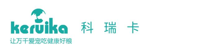 猫咪的产后护理,猫咪产后恶露护理