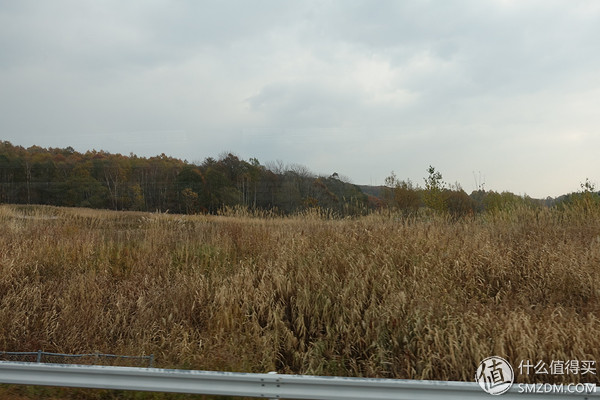 日本旅游签证流水账单,日本旅游要看账户流水不