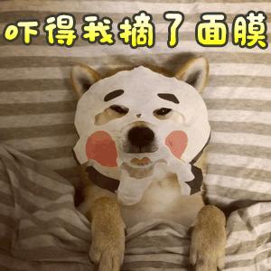 拿什么拯救你我的爱人张歆艺,拿什么拯救你我的爱人祝四萍