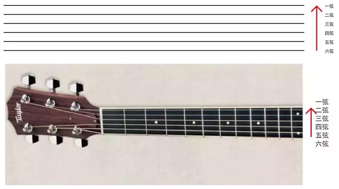 零基础学会看琴谱,零基础学吉他看视频能学会吗