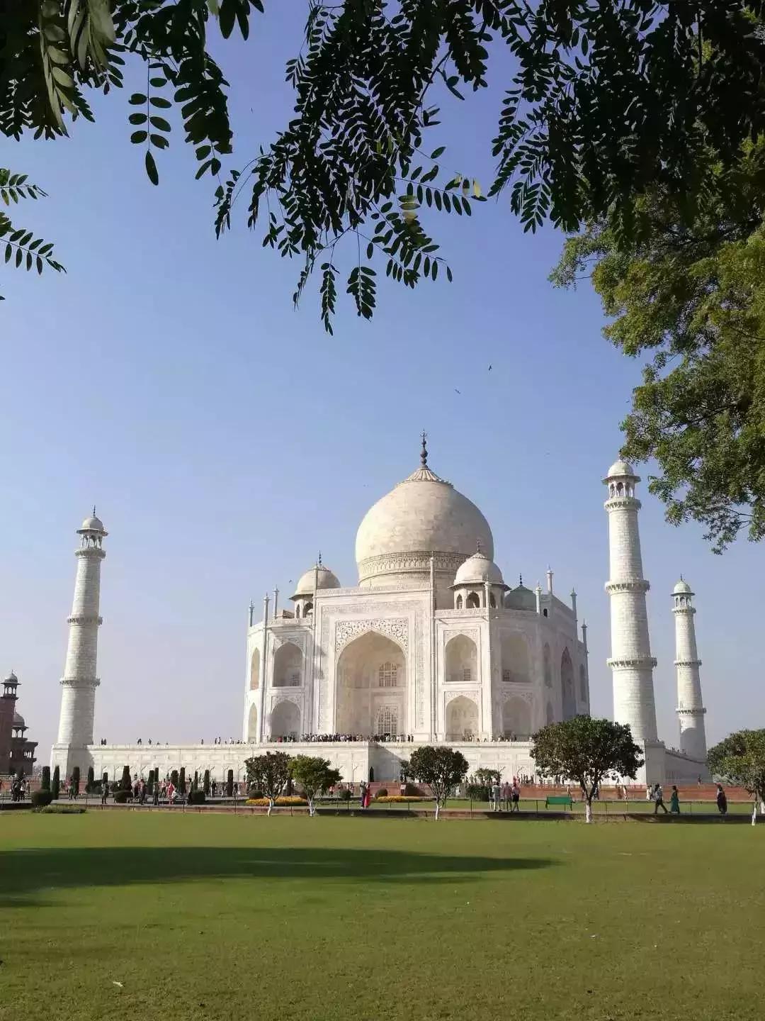 法兰克福机场免税店必买清单,机场免税店小孩必买清单