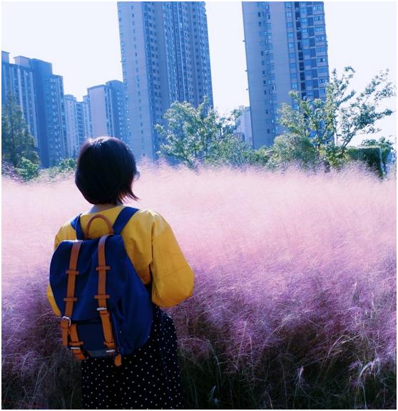 上海深度一日游,浦东金桥镇一日游