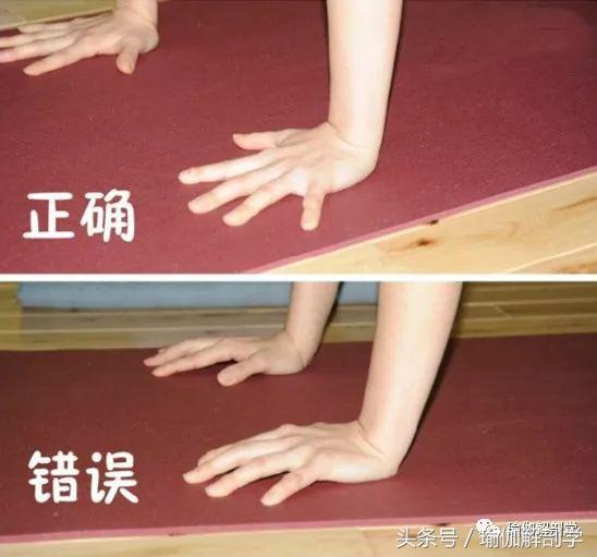 初学者必懂的13个基本瑜伽常识,瑜伽拜日式108遍口令视频中文