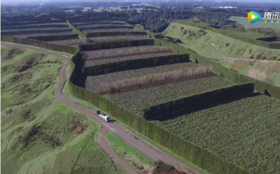 新西兰小岛国,是如何将一个猕猴桃送上水果行业的“神坛”