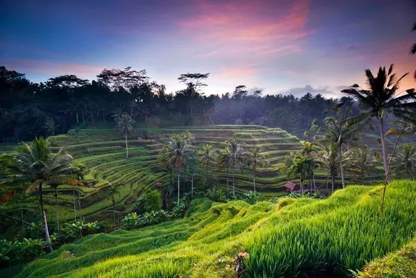 巴厘岛蓝梦岛拍照,蓝梦岛旅游网红打卡地