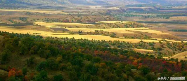 伊犁最美旅游风景区,伊犁旅游攻略探索最美风光
