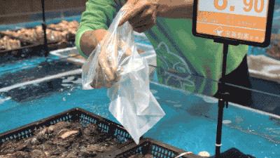 逛水族馆满脑子都是海鲜,水族馆里的海鲜