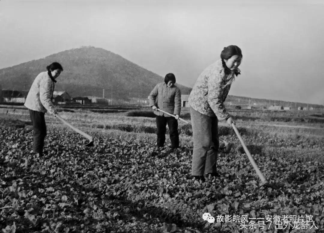 光“徽”岁月——影像见证安徽40年（一）