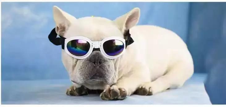 只说一句话就能明白的梗,只说了一句话就成交的软文