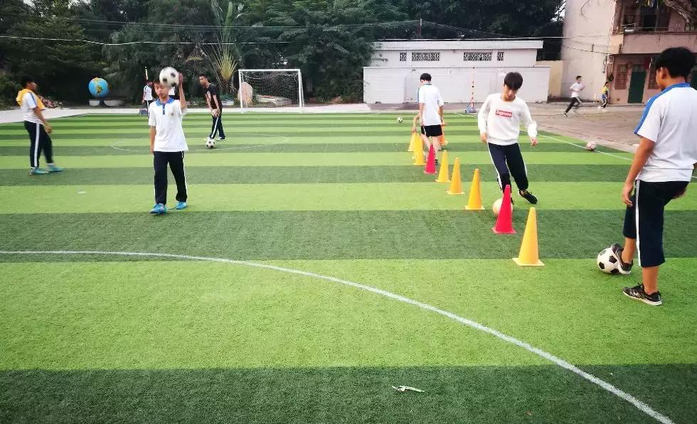 鼎湖校园足球,喜讯学校获批试点学校