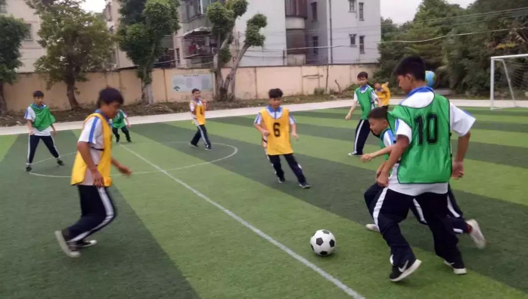 鼎湖校园足球,喜讯学校获批试点学校