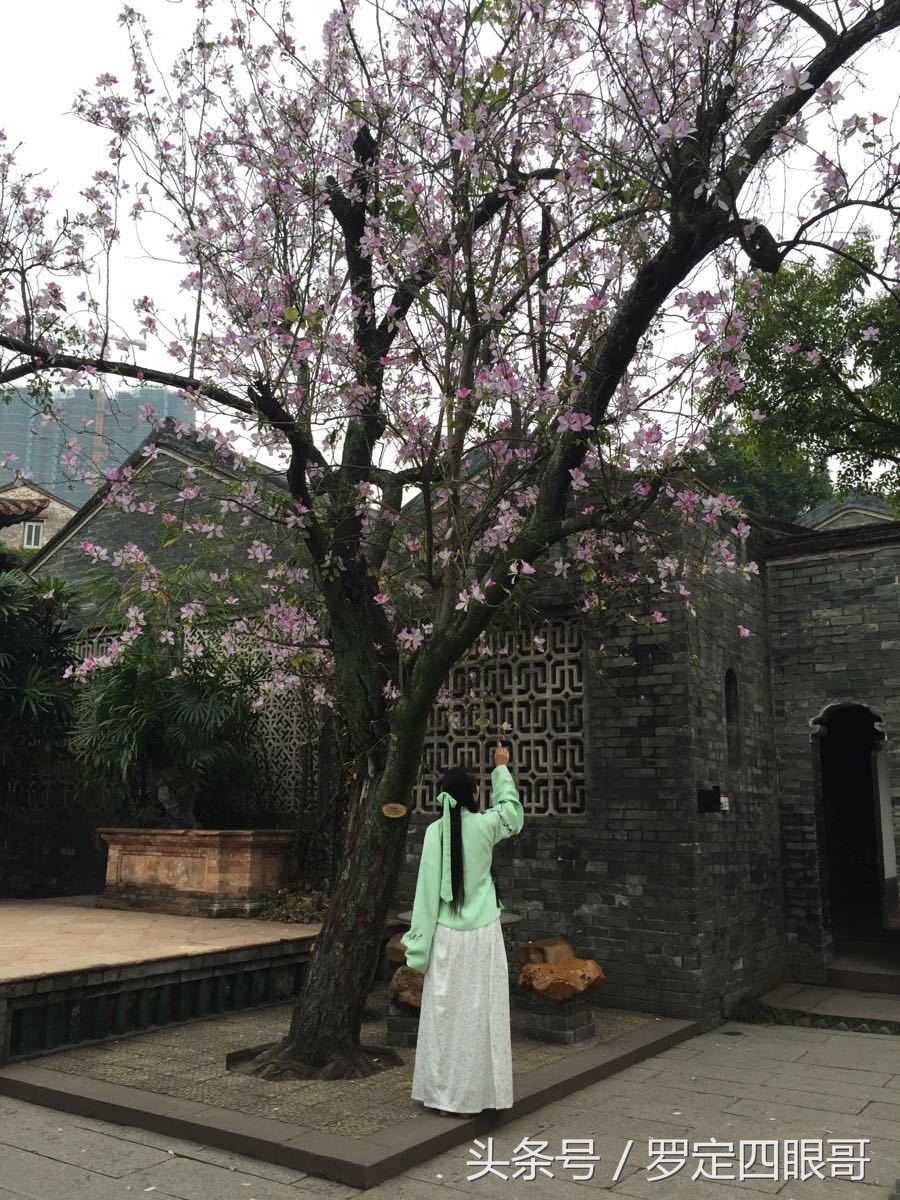 岭南四大名园东莞可园售票处,东莞可园免费景点大全