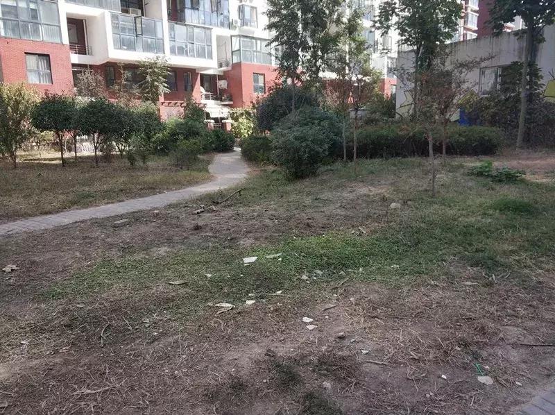 开封买房哪个楼盘好,开封主流楼盘优缺点分析