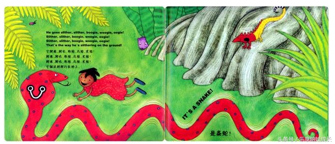 animalboogie绘本,thebook绘本磨耳朵