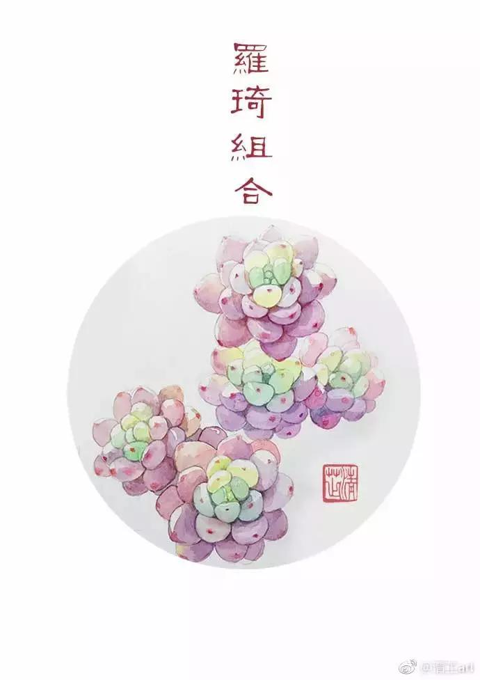 多肉上色真正的原因,多肉上色的变化