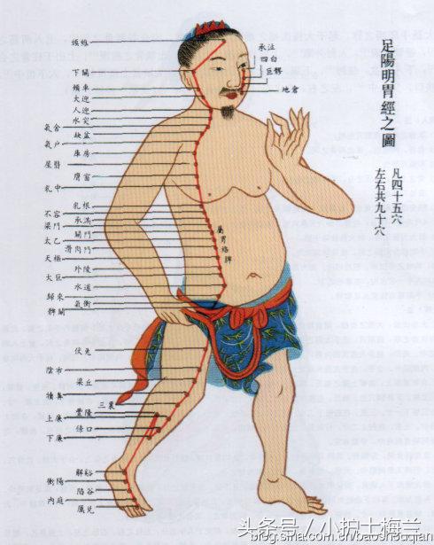 任督二脉功法图,真气打通任督二脉图解