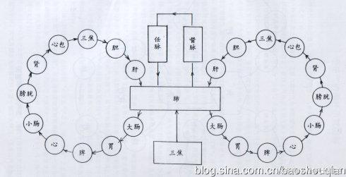 任督二脉功法图,真气打通任督二脉图解