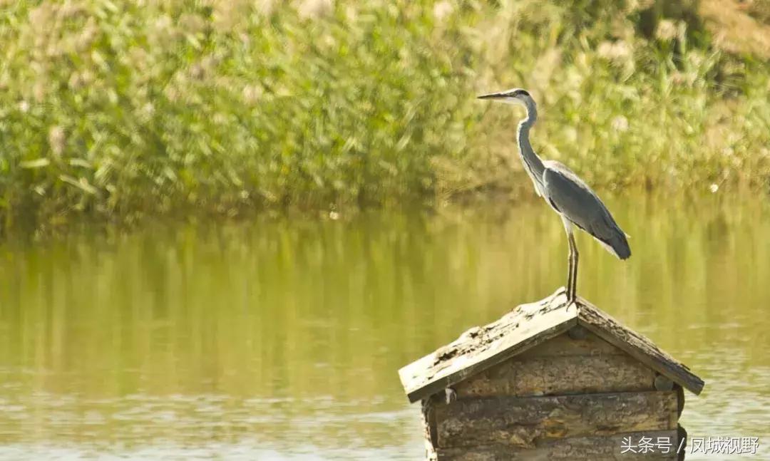 银川为什么叫城市,银川为什么属于西部