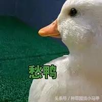 十大良心代购商品,代购最好的单品