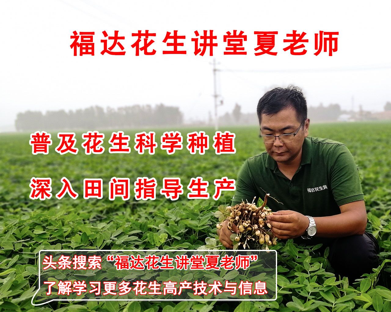 花生老是死为什么,如何避免花生烂种缺苗