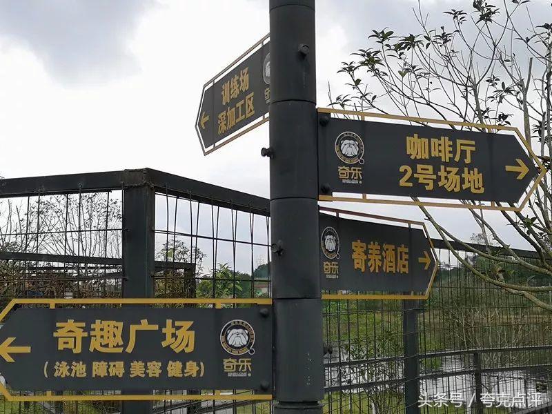 信而富成都,信而富最近盈利了吗