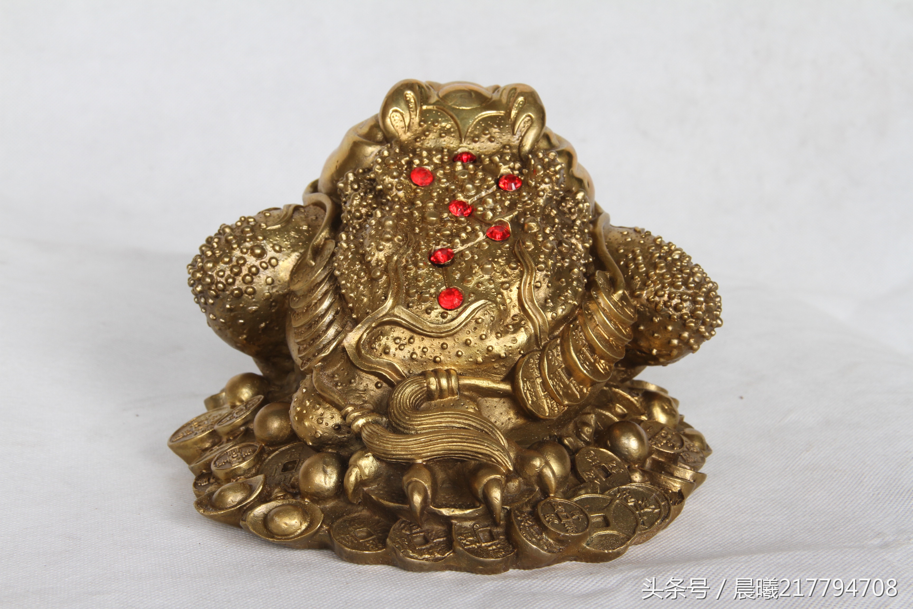 金蟾的历史故事,金蟾的故事图片文字