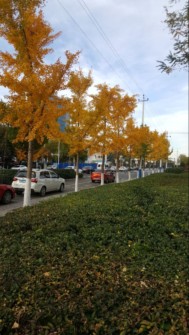 华为mate20pro现在还能买吗,华为mate20pro还可以入手吗