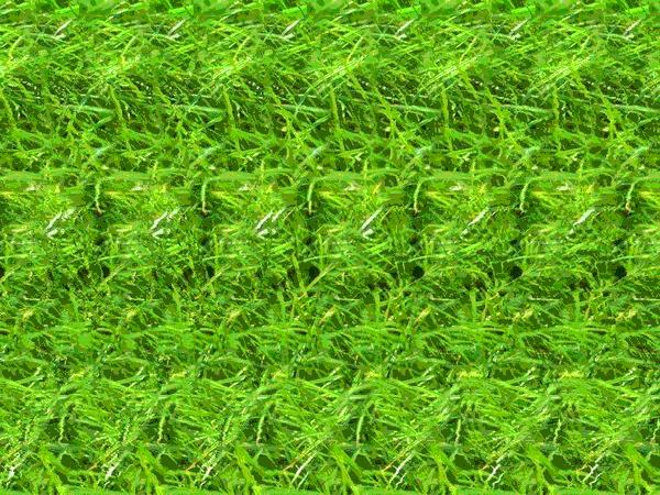 看三维立体图片有没有好处,看三维立体图能看到什么