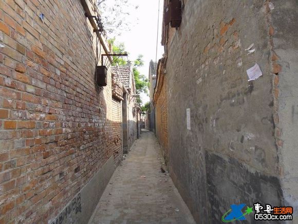 阿呆图片动图,阿呆高清图片图文