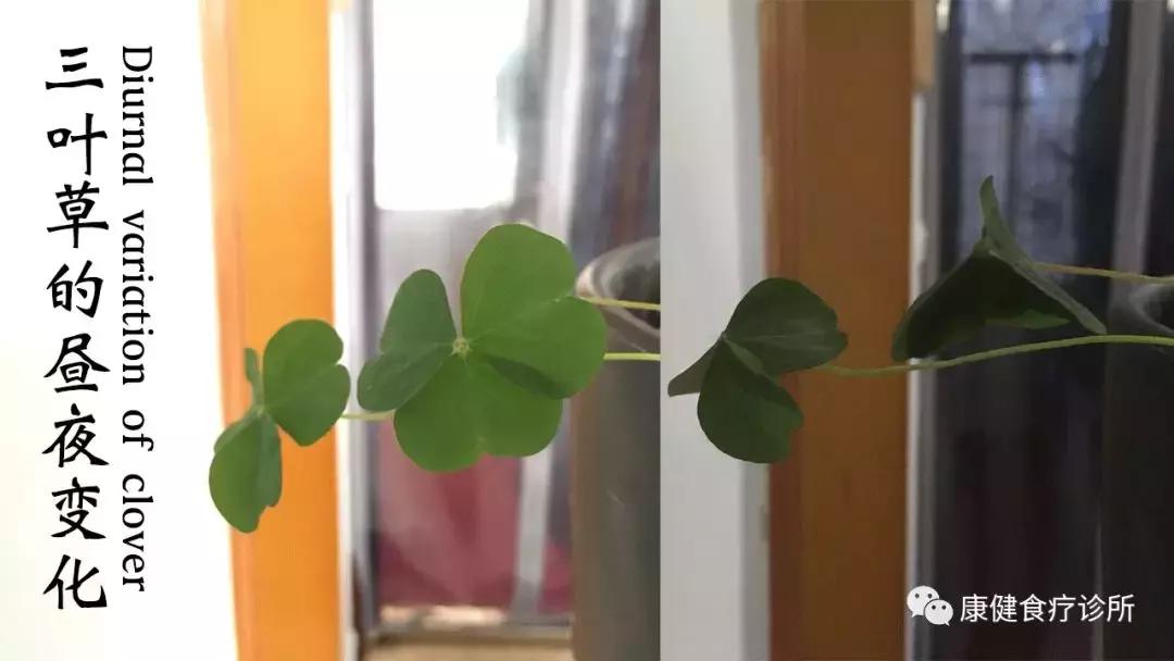 对失眠的另类治疗方法Alternativetreatmentforinsomnia