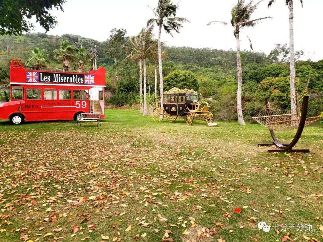 杨梅坑可以寄存东西吗,杨梅坑有可以存放东西的地方吗