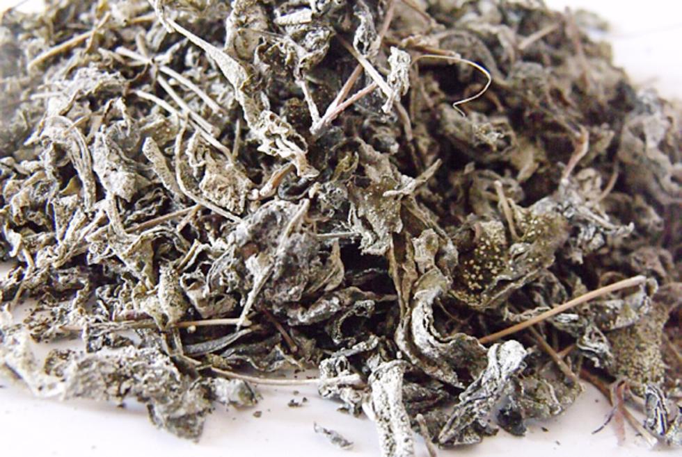 张家界旅游攻略秋天美景,张家界秋天旅游攻略图